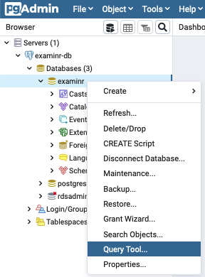 Start the query tool on the examinr database.